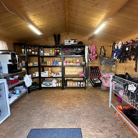 Fewo Im Reit- Und Ponyparadies Roos Halle  외부 사진