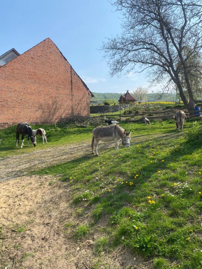 Fewo Im Reit- Und Ponyparadies Roos Halle  외부 사진