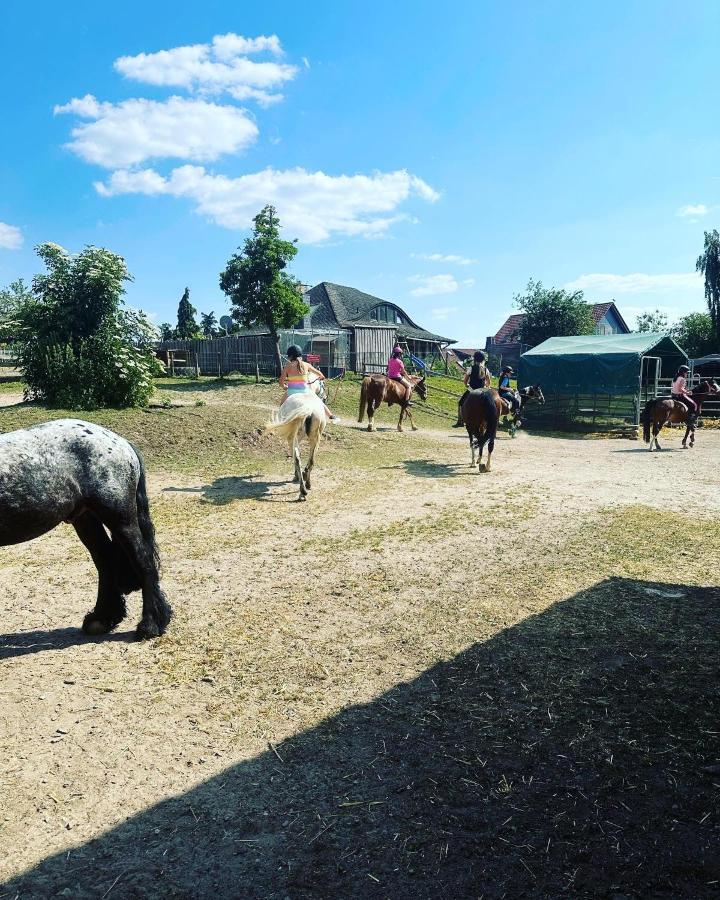 Fewo Im Reit- Und Ponyparadies Roos Halle  외부 사진