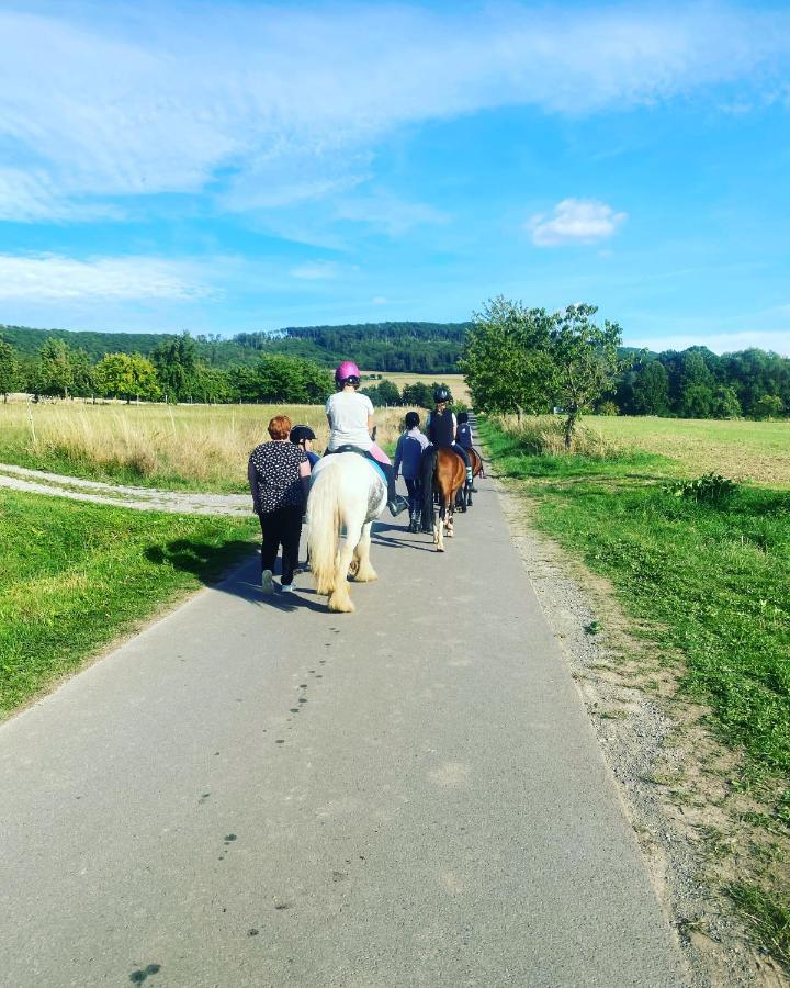 Fewo Im Reit- Und Ponyparadies Roos Halle  외부 사진