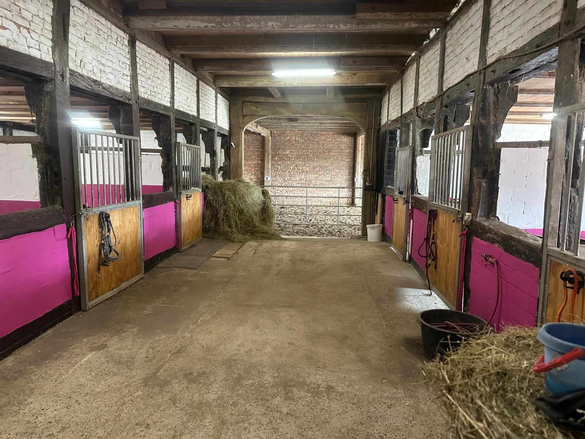 Fewo Im Reit- Und Ponyparadies Roos Halle  외부 사진