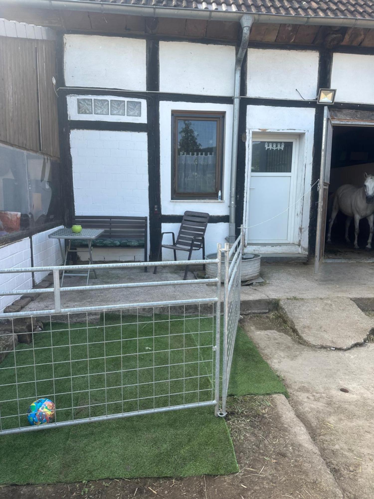 Fewo Im Reit- Und Ponyparadies Roos Halle  외부 사진