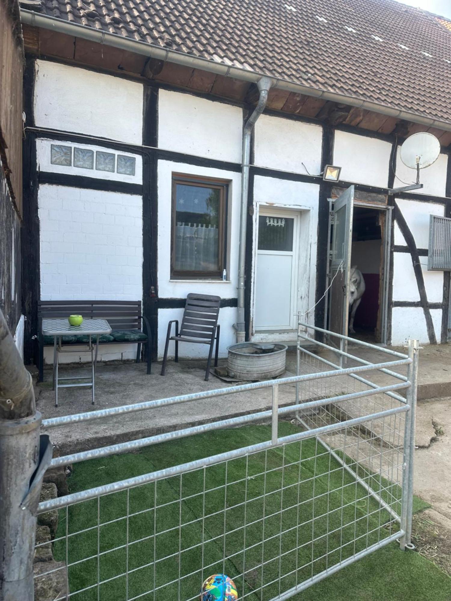 Fewo Im Reit- Und Ponyparadies Roos Halle  외부 사진